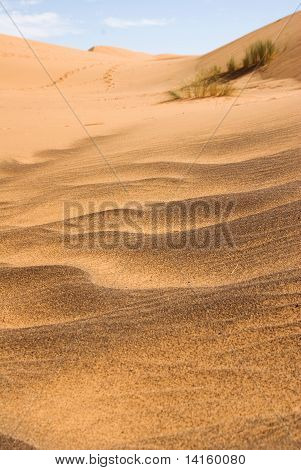 Sahara desert