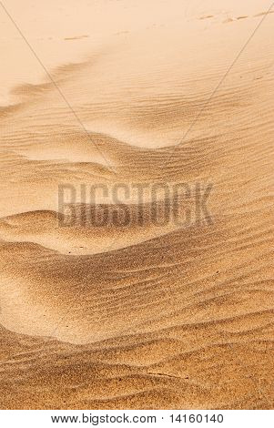 Sahara desert