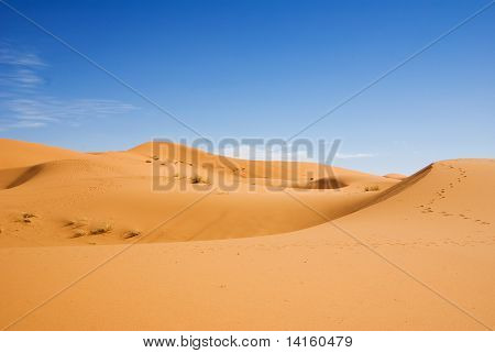 Sahara desert