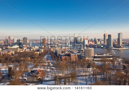 Visning af Rotterdam