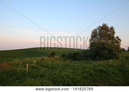 Green hill and field in summer time