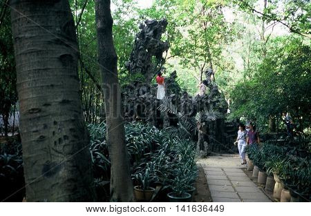 GUANGZHOU / CHINA - CIRCA 1987: Plants grow in pots at the Canton Orchid Garden in Guangzhou.