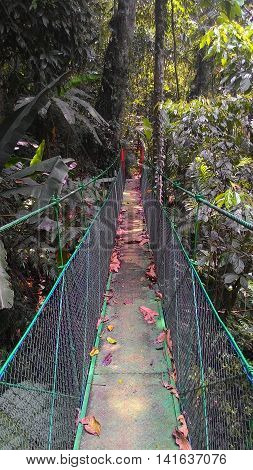 Suspension bridge lead gunung gede west java