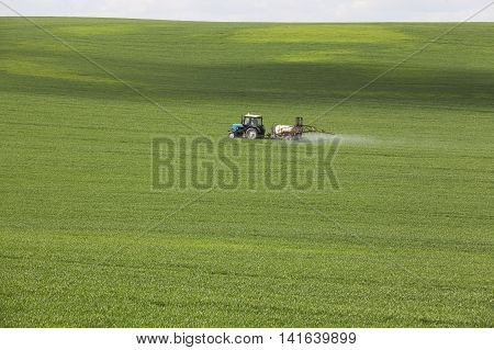 agricultural field where the green grass is treated with pesticides