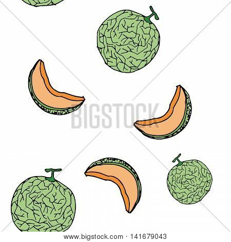 Melon, Cantalop Seamless Pattern By Hand Drawing On White Backgrounds.