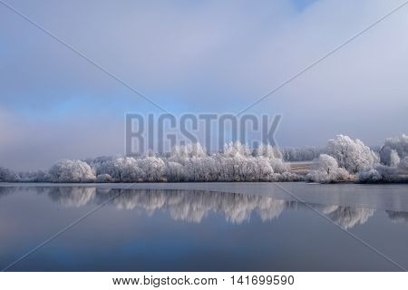 Winter lake with the reflection of the sky and standing on the shore of snow-covered trees