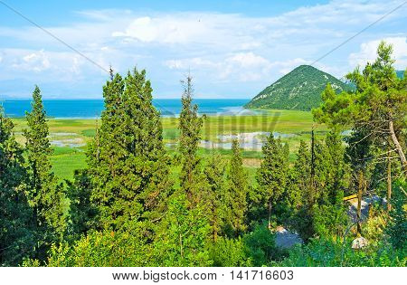 The unique nature of Skadar Lake with the wet meadows and forests on its banks Virpazar Montenegro.
