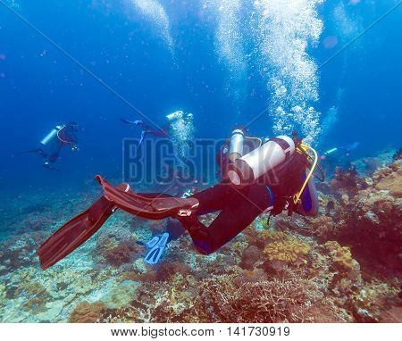 Group of divers going ocean deep Bali
