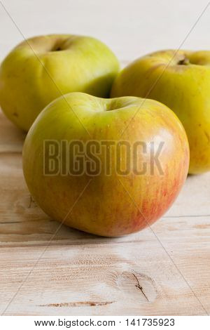 Bramley cooking apples or Malus domestica 'Bramley's Seedling' a popular British variety for making pies and desserts