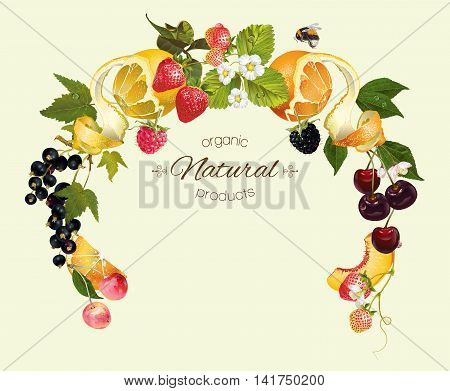 Vector berry and fruit round wreath frame. Design for tea, ice cream, jam, natural cosmetics, candy and bakery with fruit filling, health care products, perfume. Can be used as logo design