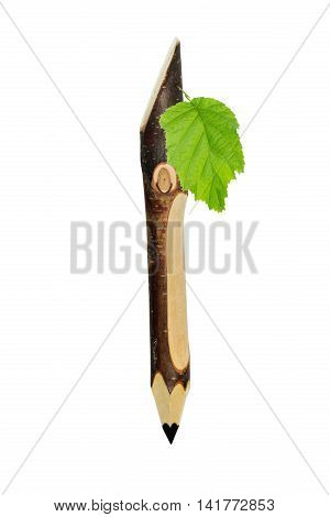 Gift eco-friendly pencil made of wood with leaf