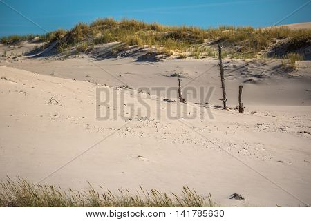 Moving dunes park near Baltic Sea in Leba Poland