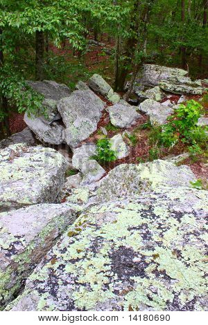 Cheaha State Park - Alabama