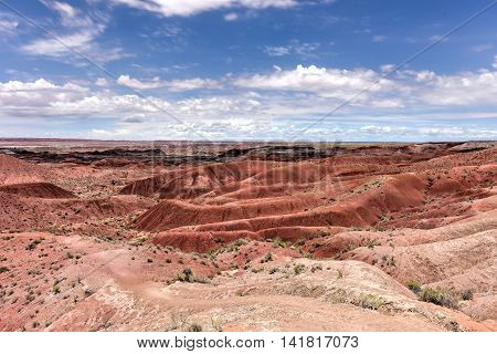 Tiponi Point - Petrified Forest National Park