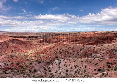 Tiponi Point - Petrified Forest National Park
