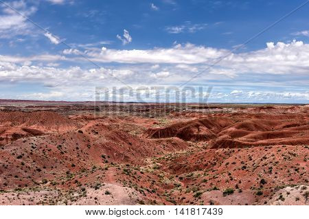 Tiponi Point - Petrified Forest National Park