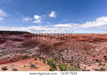 Tiponi Point - Petrified Forest National Park