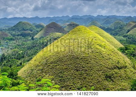 famous natural landmark Chocolate Hills in Bohol island Philippines
