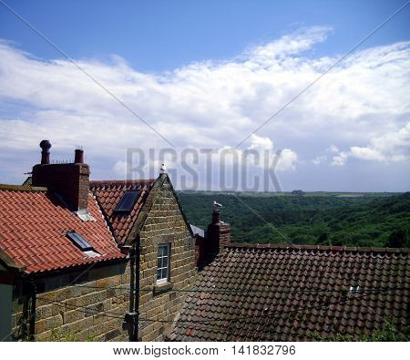 Gulls of Rooftops at Runswick Bay with cliffs in the background