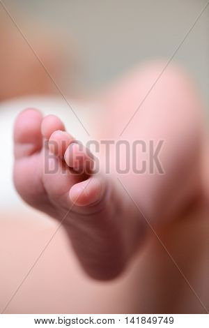 Tiny Foot Of Newborn Baby