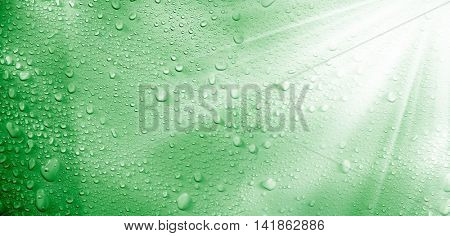 close up shot of rain drops and light.