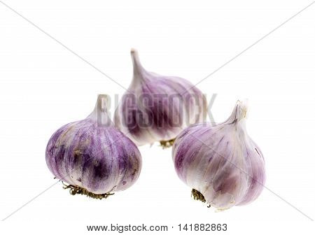 Fresh organic garlic isolated on white background
