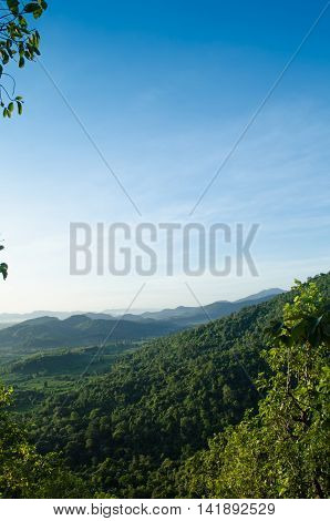forest and blue sky is background in Thailand