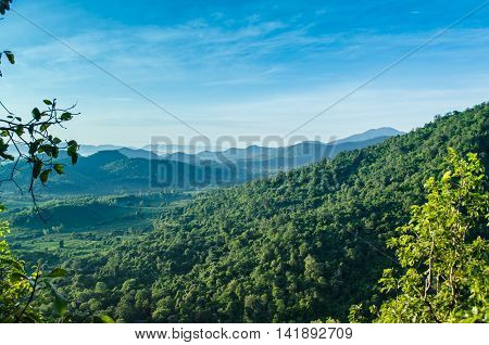 forest and blue sky is background in Thailand