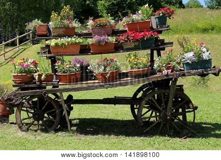 Old Wooden Cart Festooned With Many Pots Of Flowers In The Meado