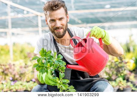 Handsome gardener in apron watering flowers with pink watering can. Worker taking care of plants in the hotbed