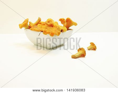 Golden chanterelles in plate isolated on white background.