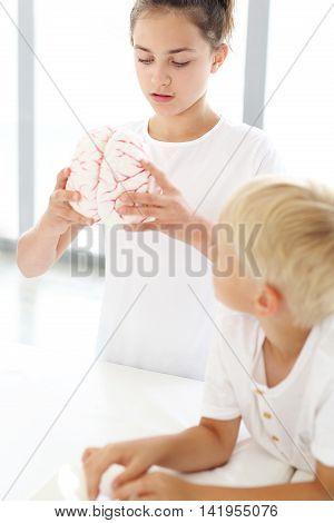 Child reassembles model brainConstruction of the brain.