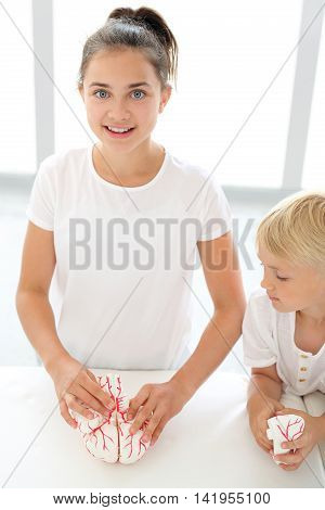 Construction of the brain. Child reassembles model brain.