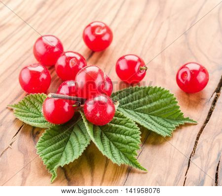 Nanking or felted cherry ftuits with leaves on the wooden table.