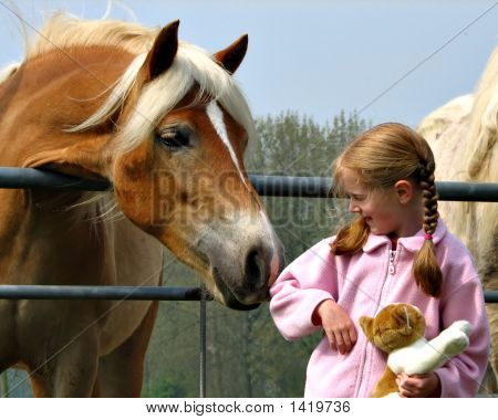Dívka s koněm