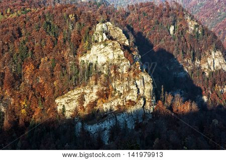 The rock in autumn forest by sunset in Harmanec Slovak republic. Natural scene. Deciduous trees. Beautiful place.