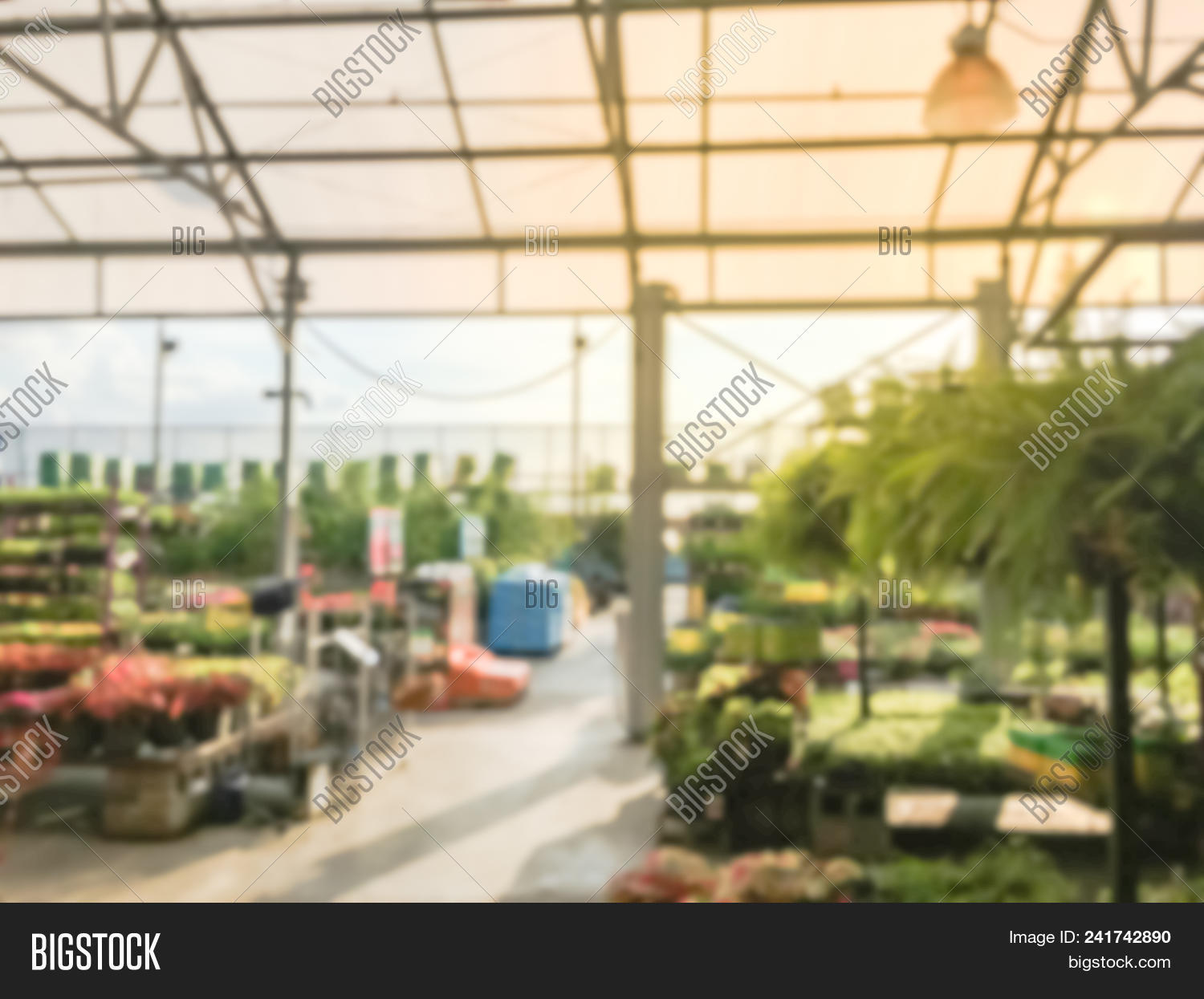 Blurred Plant Nursery Image Photo Free Trial Bigstock