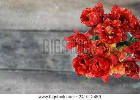 Spring Flowers. Bouquet Of Red Tulips On Brown Wooden Background. Mother's Day And Valentines Day Ba