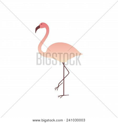 Pink Flamingo Isolated Vector Illustrstion On White Background. Perfect For Summer Banner,  Card, Po