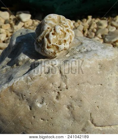 Relaxing and enjoying a view of the sea stone with an ornament on it resembling fossil, with the sea