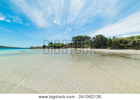 White Sand And Blue Sea In Lu Impostu Beach. Sardinia, Italy