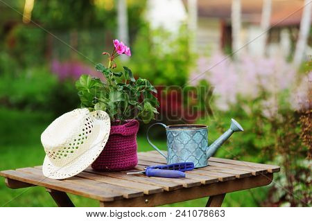 Seasonal Summer Garden Work Concept. Geranium Flower In Pot, Hat And Toold On Wooden Table Outdoor.