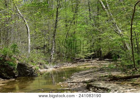 Rock Run Creek Bernheim Forest Claremont Kentucky Spring 2018