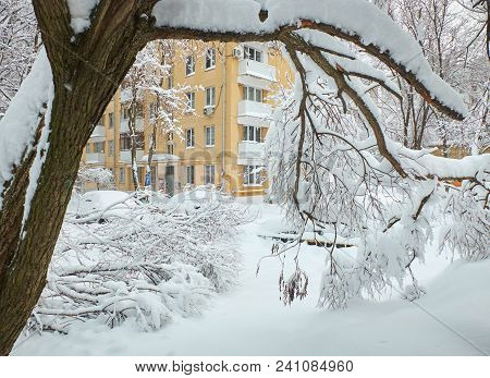 Winter View On Fallen Trees On Cars Under Snow. Snow Covered Fallen Trees Damaged Cars. Dangerous Tr