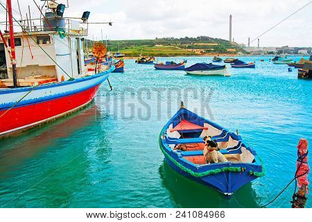 Dogs At Luzzu Colored Boats, Marsaxlokk Bay In Malta Island