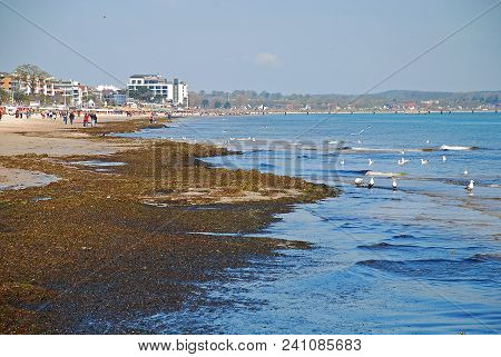 At The Beach Of Scharbeutz, Coast Of The Baltic Sea, Germany