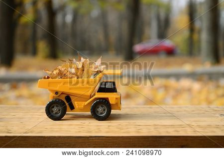 The Concept Of Seasonal Harvesting Of Autumn Fallen Leaves Is Depicted In The Form Of A Toy Yellow T