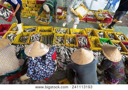 Caught Fishes Sorting To Baskets By Vietnamese Women Workers In Tac Cau Fishing Port, Me Kong Delta 