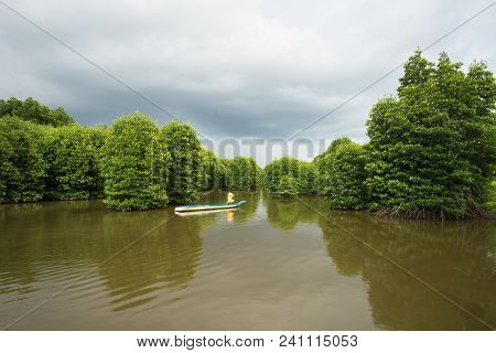 Mangrove Forest With Fishing Boat In Ca Mau Province, Mekong Delta, South Of Vietnam