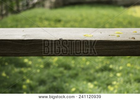 Wooden Bench In Outdoors Garden In Summer, Stock Photo
